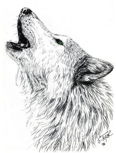 Howling Wolf By Gayle Taylor On Artwanted Animal Sketches Animal