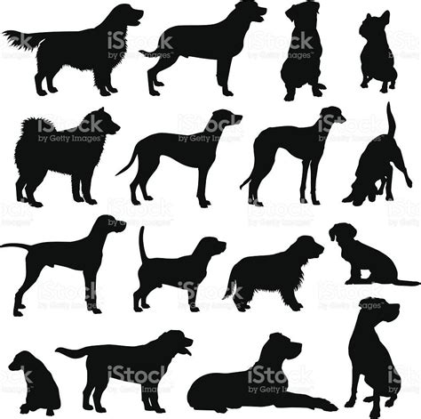 Set Of Vector Dog Silhouettes Of Different Breeds Dog Silhouette