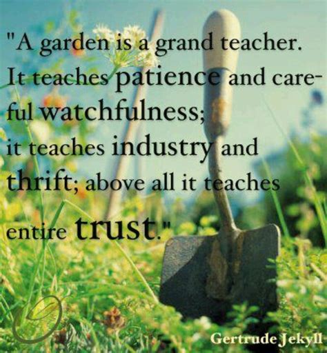 Quotes About Gardening Quotesgram