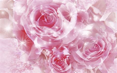 45 Free Desktop Wallpaper Pink Roses Wallpapersafari
