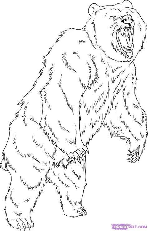 Click the realistic grizzly bearcoloring pages to view printable version or color it online (compatible with ipad and android tablets). Grizzly Bear Coloring Pages | How to Draw a Grizzly Bear ...