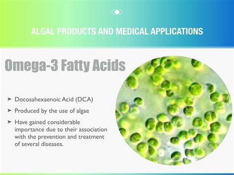 Algae Products And Their Medical Applications