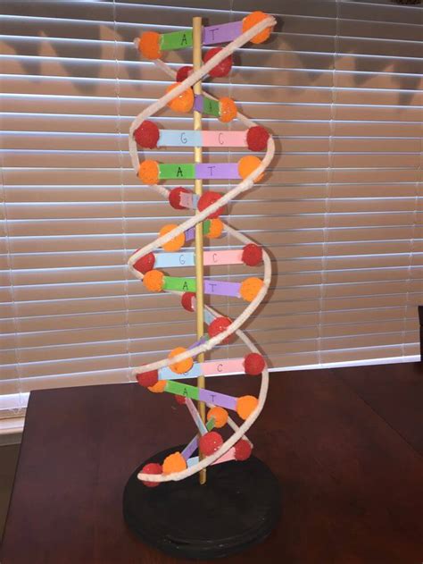 Dna Model Project With Beads