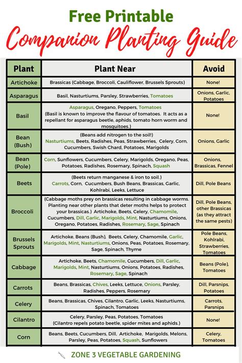 Printable Herb Companion Planting Chart