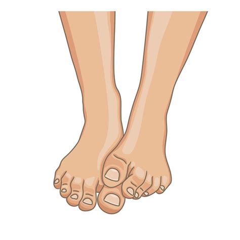Female Feet Barefoot Front View One Foot Lying On The Other Healthy Toenails With Pedicure