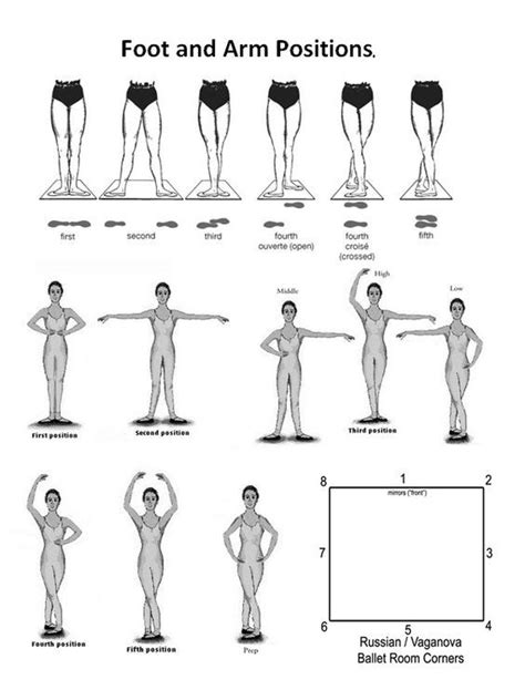 Ballet Positions Printable Printable Word Searches