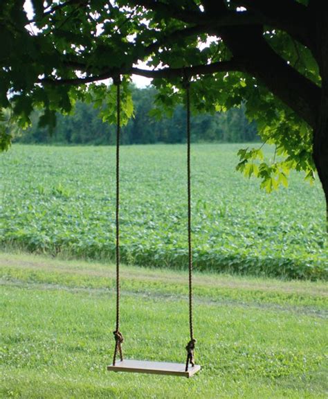 The Best Tree Swings That Will Keep Your Kids Outside All Summer Home