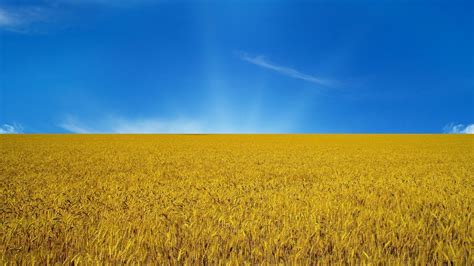 Картинки флаг, украина, небо, поле, природа - обои 1920x1080, картинка ...