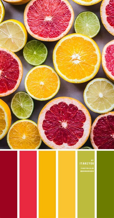 Citrus Color Scheme A Beautiful Summer Color Palette Of Dark Red