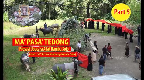Ma Pasa Tedong Buffalo Toraja Upacara Adat Rambu Solo Di Tongkonan To Lemo Sa Dan