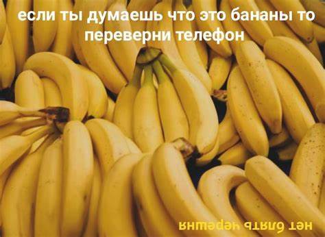 Диета банан с творогом #банан#пикча#ржач#мем | Банан, Мемы, Еда #банан#пикча#ржач#мем | Банан, Мемы, Еда Диета банан с творогом