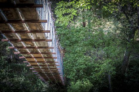 Wooden Bridge In Forest Stock Photo Image Of United 95839750