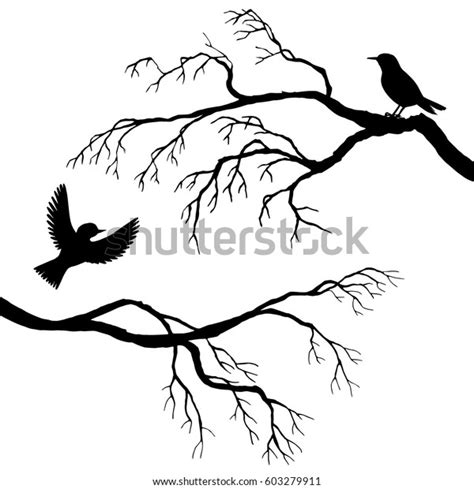 Vector Silhouettes Birds Tree Hand Drawn Stock Vector Royalty Free