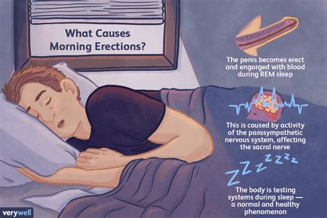 What Causes A Morning Erection