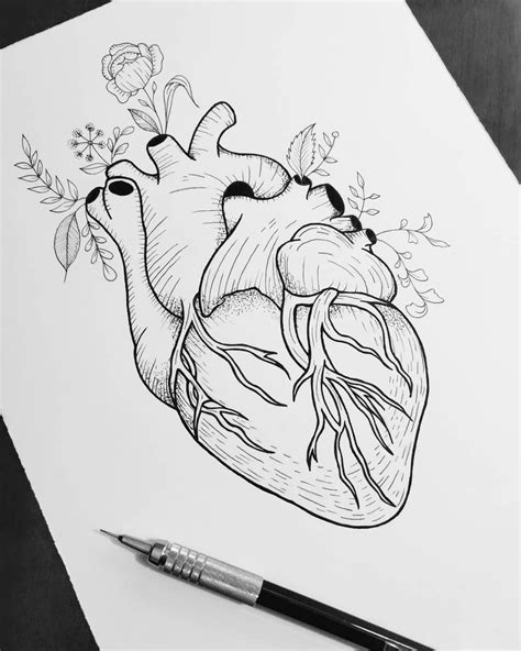 Arte Criada Por Felipe Ramos Wtfmanson Coração Com Flores Desenhado