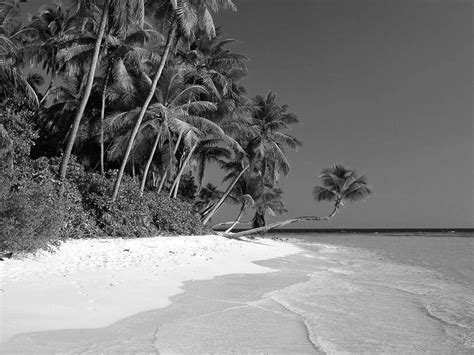 Black And White Wallpapers Black And White Beach Landscape Hd