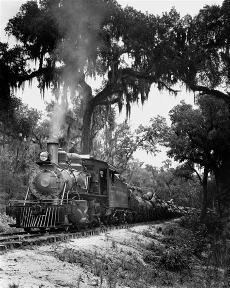 Florida Memory • Cummer Sons Cypress Company Engine 104 Lacoochee