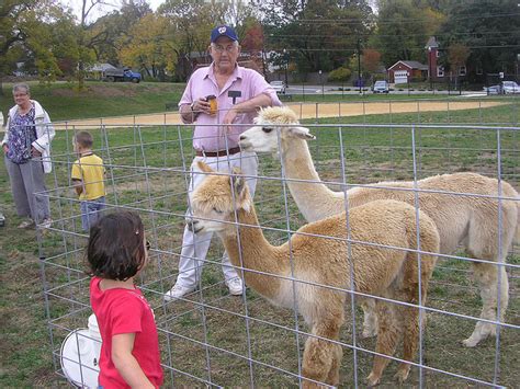 We'd love to discuss your upcoming birthday party, holiday. Tally Ho!: Little Critters Traveling Petting Zoo At Reed ...