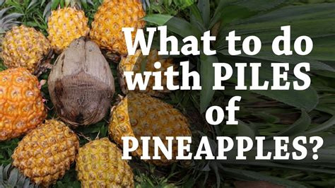 What To Do With Piles Of Pineapples Hint Coconuts Day 5 Of 30