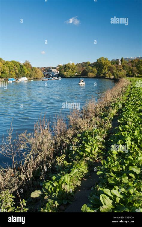 Surrey Hill Hi Res Stock Photography And Images Alamy