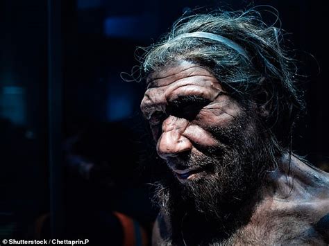 Neanderthal Dna Found In African People For First Time Ever Daily