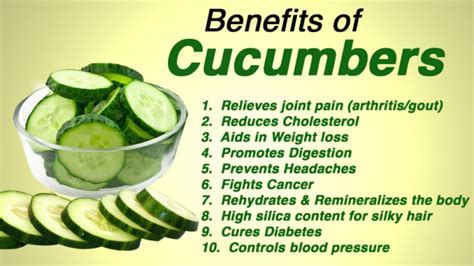 Know About The Effective Health Benefits Of Cucumbers My Health Only