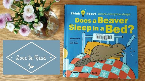 Does A Beaver Sleep In A Bed By Harriet Ziefert Youtube