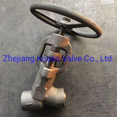 Class4500 Stainless Steel 316 Forged Pressure Globe Valve China Cast