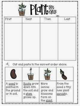 Spring 15: Seed to Plant - Mom Envy