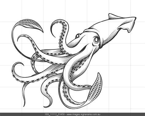 Image Details Iss1111201458 Giant Squid Drawn In Engraving Tattoo
