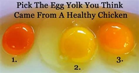 The Color Of Your Egg Yolk Can Tell You If The Egg Came From A Healthy