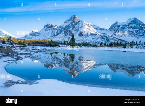 Tarn Reflection Mount Assiniboine Provincial Park British Columbia