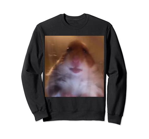 Dank Meme Hamster Staring Front Camera Shirt Stellanovelty