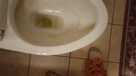 Toilet Clog 2 Youtube