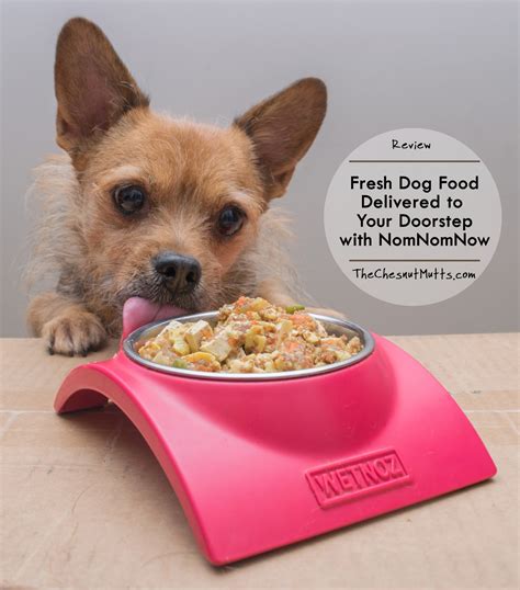 Food delivery services are more popular than ever in 2021 and that even includes a competitive editors' top picks. Review: Fresh Dog Food Delivered to Your Doorstep with ...