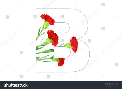 Flower Font Alphabet Az Made Carnation Stock Photo 1142849135