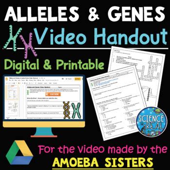 Explore cell signaling with the amoeba sisters! Amoeba Sisters Alleles And Genes Worksheet / Https Www Amoebasisters Com Uploads 2 1 9 0 ...