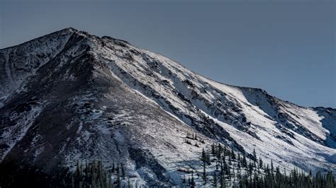 Wallpaper Id 216363 A Snow Capped Mountain In Aspen With Evergreen