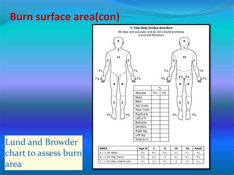 Ppt Primary Management Of Burn Patients Powerpoint Presentation Free