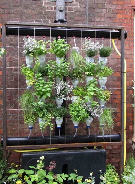 Best Vertical Indoor Plant From Home And Garden Catalog