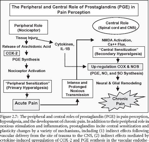 Figure 27 From 2 Pathophysiology Of Acute Pain Semantic Scholar