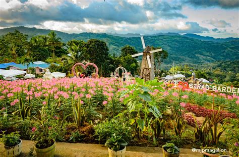 5 Most Beautiful Flower Gardens in the Philippines