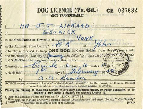 Dog Licence 1956 Escrick Heritage
