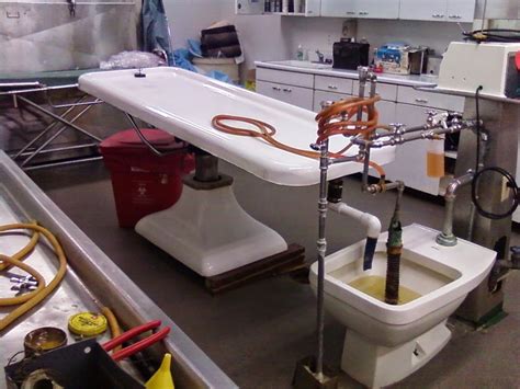 Embalming fluids often contain a combination of formaldehyde, chemicals like methanol and ethanol, and water. The Body Blog: How to Cure a Corpse