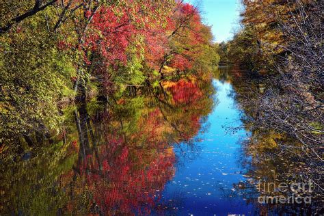 Fall Colors Of Princeton Photograph By George Oze Fine Art America