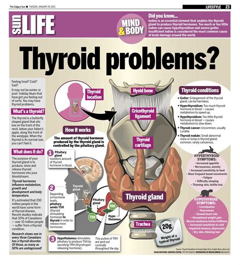 If You Notice Any Of These 13 Telltale Signs You May Have A Thyroid