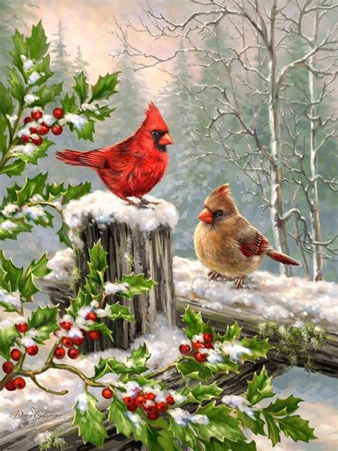 Cardinals On A Fence In The Snow With Holly Berries Christmas