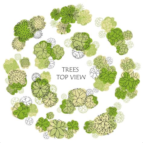Tree for architectural floor plans. Entourage design. Various trees