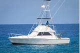 Kona Deep Sea Fishing Charters Pictures