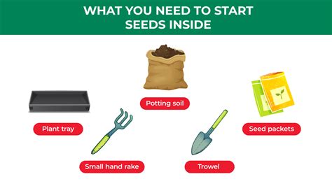 How To Start Seeds In Your Garden Jobes Company